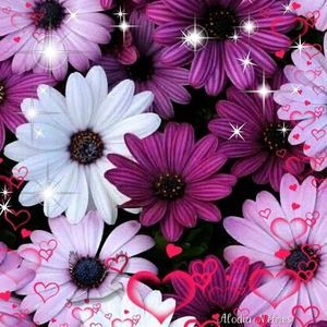 Meet your Posher, Becky